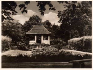 Senftenberg